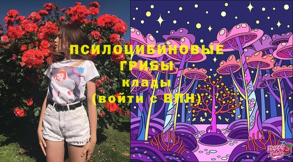 прущие грибы Алзамай