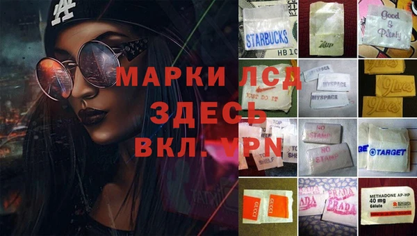 прущие грибы Алзамай