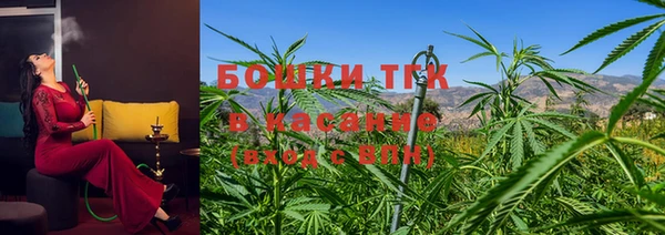 прущие грибы Алзамай