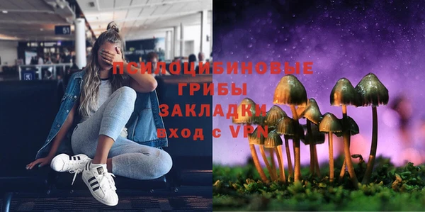 тгк Алексин