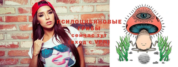 прущие грибы Алзамай
