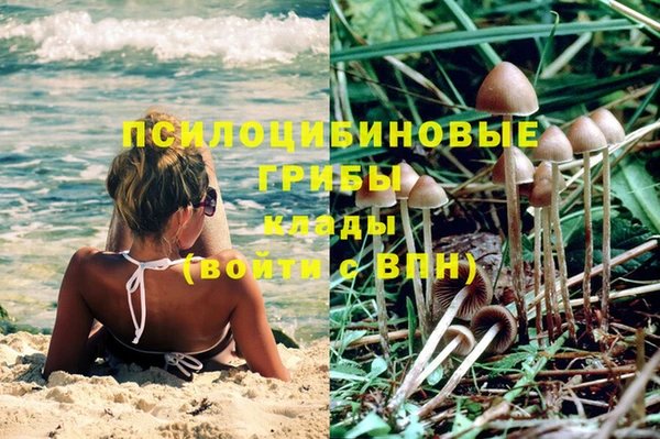 молекула духа Алексеевка
