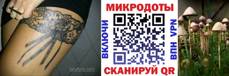 Галлюциногенные грибы Cubensis  Батайск 