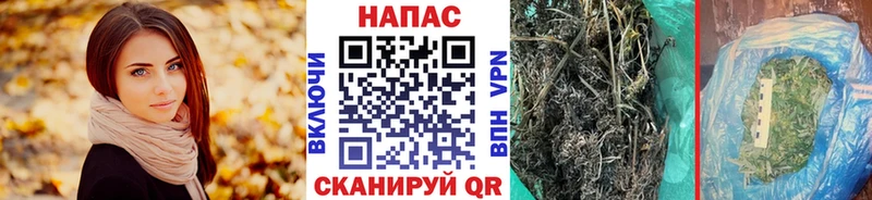 Бошки марихуана марихуана  Батайск 